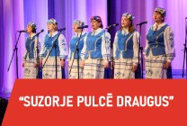 Meklēšanas rezultāta izrādes "Koncerts “Suzorje pulcē draugus”" attels