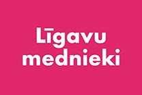 Meklēšanas rezultāta izrādes "Līgavu mednieki" attels
