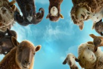 Meklēšanas rezultāta izrādes "KINO /AITAS IZMEKLĒTĀJAS/" attels