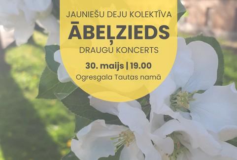 Izrādes "Jauniešu deju kolektīva ĀBEĻZIEDS draugu koncerts" attels