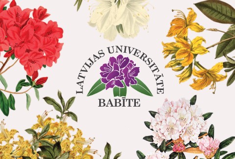 Izrādes "Rododendru parka apmeklējums" attels
