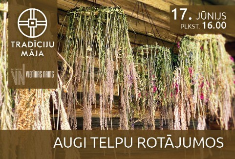 Izrādes "Augi telpu rotājumos | Meistarklase" attels