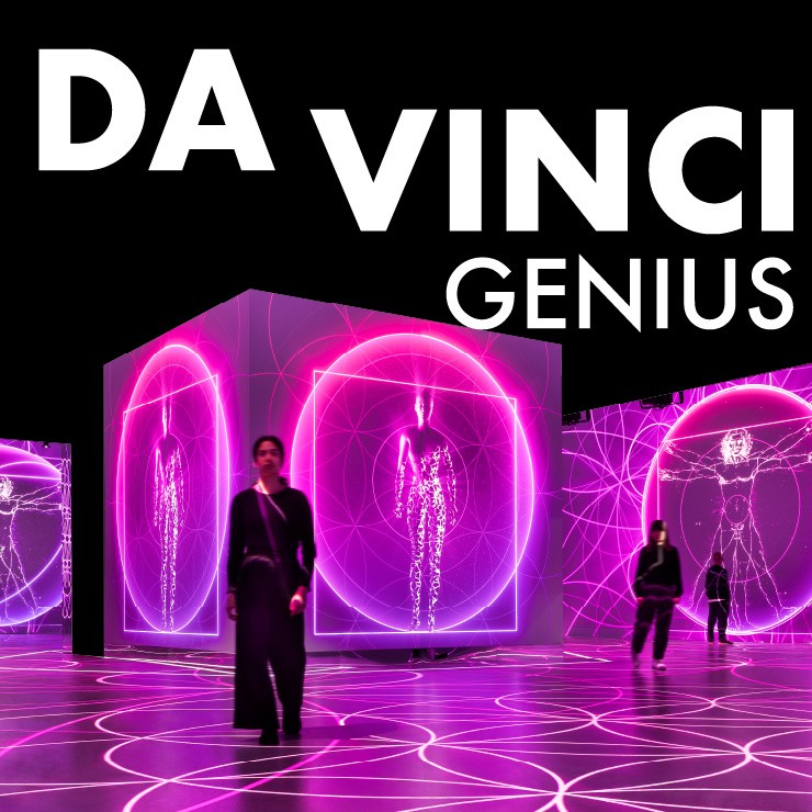 Изображение спектакля "[ENG] Immersive Art Experience: Leonardo da Vinci"