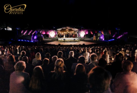 Izrādes "VIII Starptautiskais Operetes festivāls Ikšķilē | ATBALSTA BIĻETE" attels