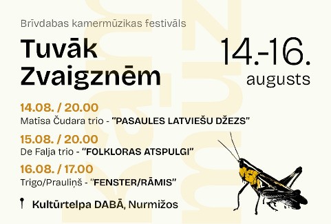 Izrādes "3 dienu biļete | kamermuzikas festivāls TUVĀK ZVAIGZNĒM" attels
