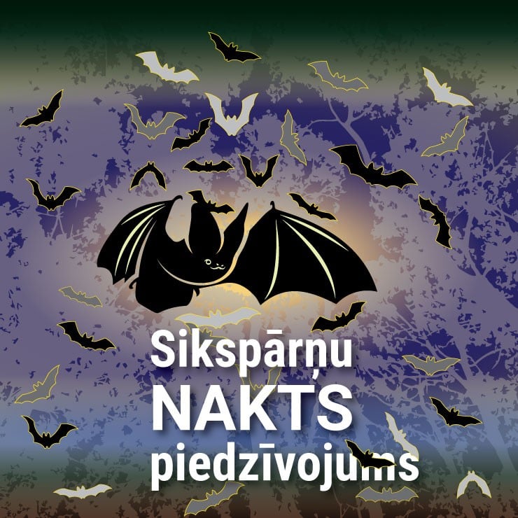 Изображение спектакля "Sikspārņu nakts piedzīvojums Līgatnes dabas takās"