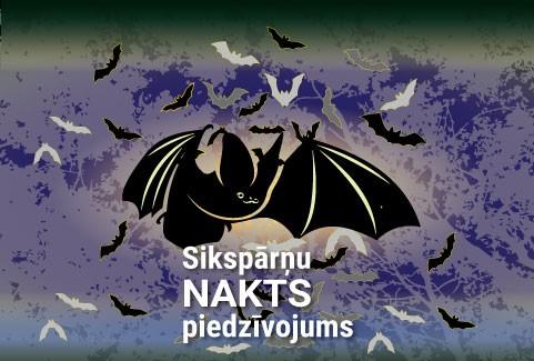 Izrādes "Sikspārņu nakts piedzīvojums Līgatnes dabas takās" attels
