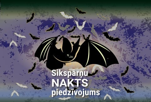 Изображение спектакля "Sikspārņu nakts piedzīvojums Līgatnes dabas takās"