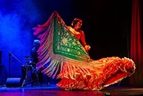 Изображение мероприятия "31. SBBF ( Starptautiskais Baltijas baleta festivāls ) / PUERTO FLAMENCO / PURO   ( Spānija )" из результатов поиска