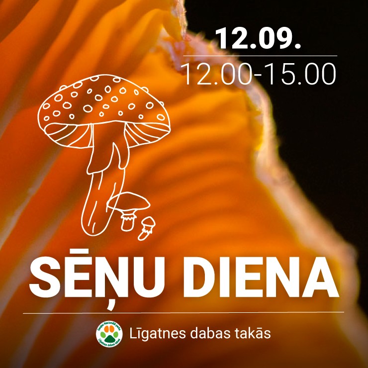 Izrādes "Sēņu diena Līgatnes dabas takās" attels
