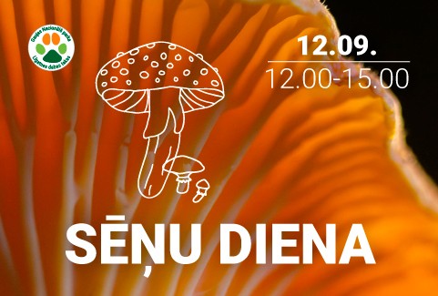 Izrādes "Sēņu diena Līgatnes dabas takās" attels