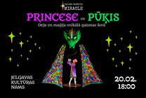 Meklēšanas rezultāta izrādes "PRINCESE un PŪĶIS | Deja un maģija unikālā gaismas šovā" attels