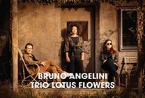 Изображение мероприятия "Bruno Angelini trio Lotus Flowers (Francija) | Muzikāls ceļojums džeza un blūza noskaņās" из результатов поиска