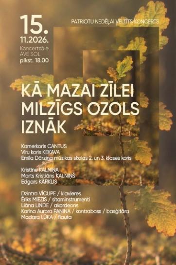 Meklēšanas rezultāta izrādes "Patriotu nedēļai veltīts koncerts KĀ MAZAI ZĪLEI MILZĪGS OZOLS IZNĀK" attels