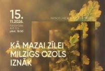 Meklēšanas rezultāta izrādes "Patriotu nedēļai veltīts koncerts KĀ MAZAI ZĪLEI MILZĪGS OZOLS IZNĀK" attels