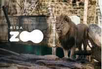 Изображение мероприятия "Rīga ZOO gada abonements" из результатов поиска