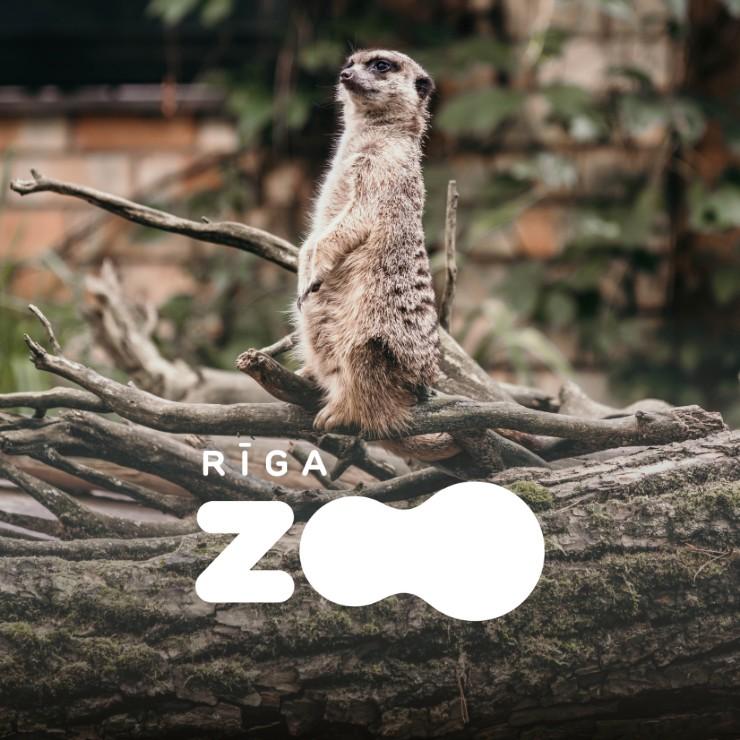 Izrādes "Rīga ZOO gada abonements" attels