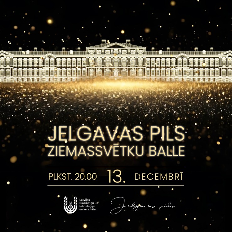 Izrādes "Jelgavas pils Ziemassvētku balle" attels