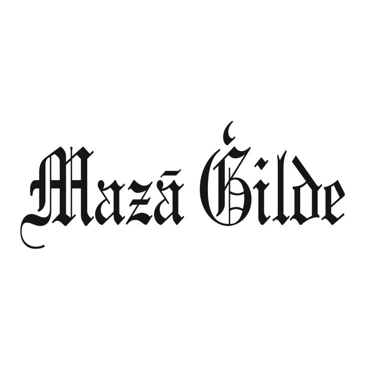 Organizatora "Rīgas valstspilsētas pašvaldības iestāde KTMC Mazā Ģilde" attels