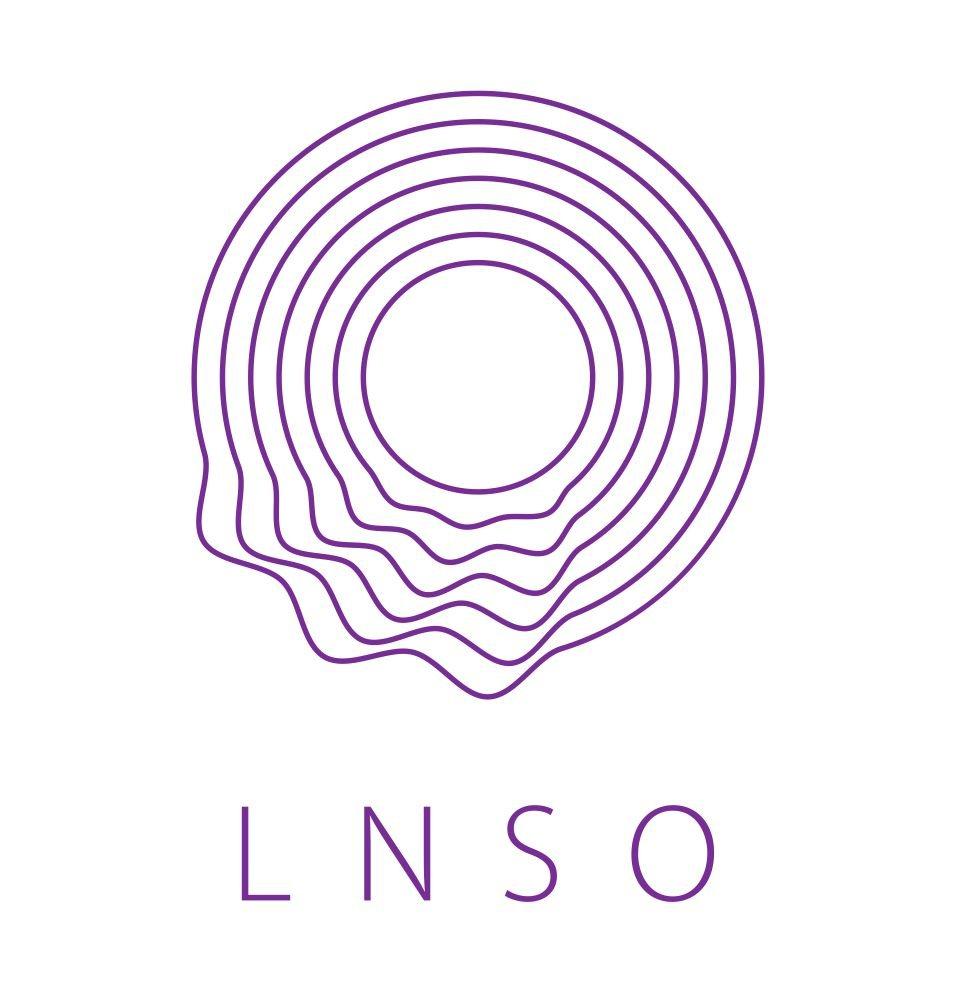 Organizatora "LNSO, VSIA" attels