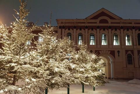 Organizatora "Latvijas Biozinātņu un tehnoloģiju universitāte" attels